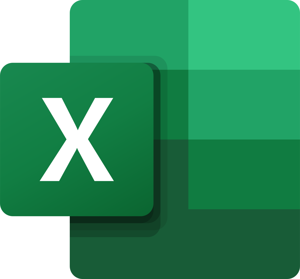 Microsoft_Office_Excel_2019–present.svg.png