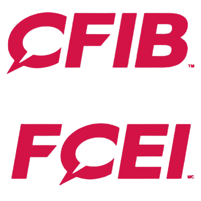 Logo of the CDIB/ FCEI